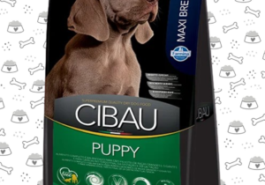 Cibau Perro Cacho Rg 15kg