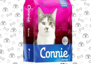 Connie Gato 22kg
