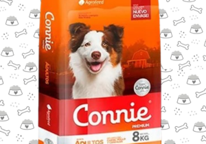 Connie Perro 22kg