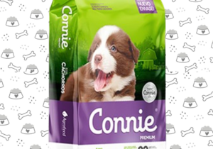 Connie Perro Cacho 22kg