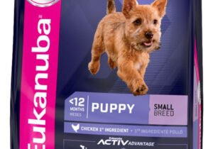 Eukanuba Perro Cacho Rg 15kg