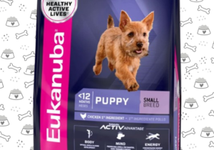 Eukanuba Perro Cacho Rg 15kg