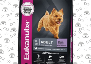 Eukanuba Perro Rp 15kg