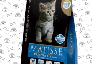 Matisse Gato Cacho 7.5 Kg