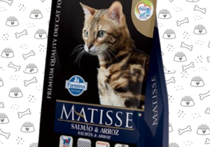Matisse Gato Salmon Y Arroz 7.5 Kg