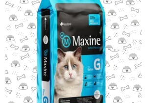 Maxine Gato 21kg