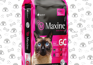 Maxine Gato Castrado 21kg
