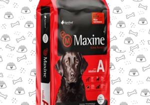 Maxine Perro 21kg