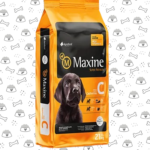 Maxine Perro Cacho 21kg
