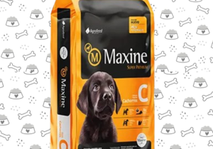 Maxine Perro Cacho 21kg