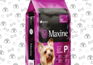 Maxine Perro Rp 21kg