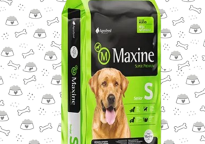 Maxine Perro Senior 21kg