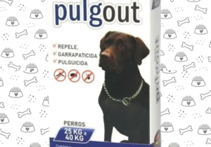 Pipeta Pilgout Perro 25 A 40kg