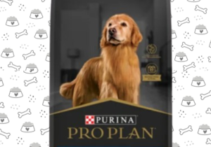 Proplan Perro Senior Active Complete 15kg