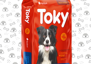 Toky Perro 25kg