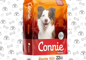 Connie 22kg