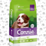 Connie Cacho
