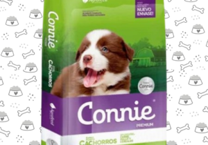 Connie Cacho