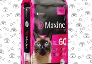 Maxine Gato