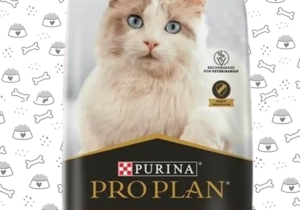 Proplan Gato Aulto