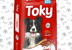 Toky 7k