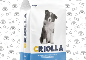 Criolla 7