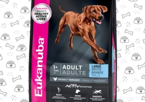 Eukanuba Perro Rg 15kg