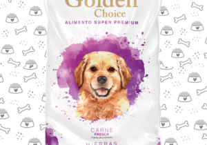Golden Choi Perro Cacho 14kg