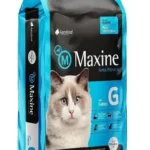 Maxine 7.5 Gato
