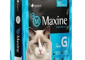 Maxine 7.5 Gato