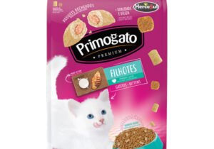 Primogato Cachorro