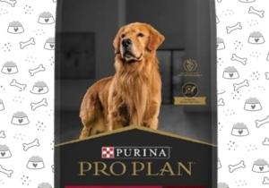 Proplan Complete Perro 15kg