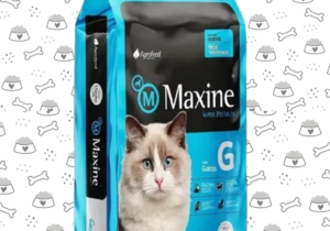 Maxine Gato Azul