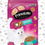 Primogato Filhote