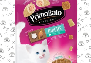Primogato Filhote