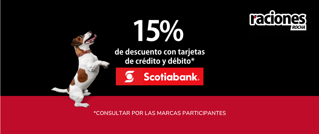 Imagen Pag Web