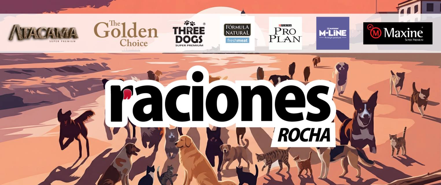 2026 04 02 MaÑana Web